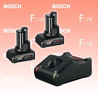 Bosch Professional Starter-Set 2 x GBA 12V 6.0Ah + GAL 12V-40
