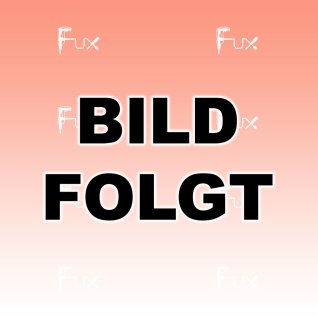 Bosch Professional 4-teiliges Schreiner Solo 4